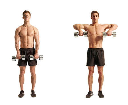 dumbbell-upright-row