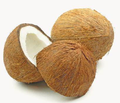 кокос фрукт или орех общие сведения