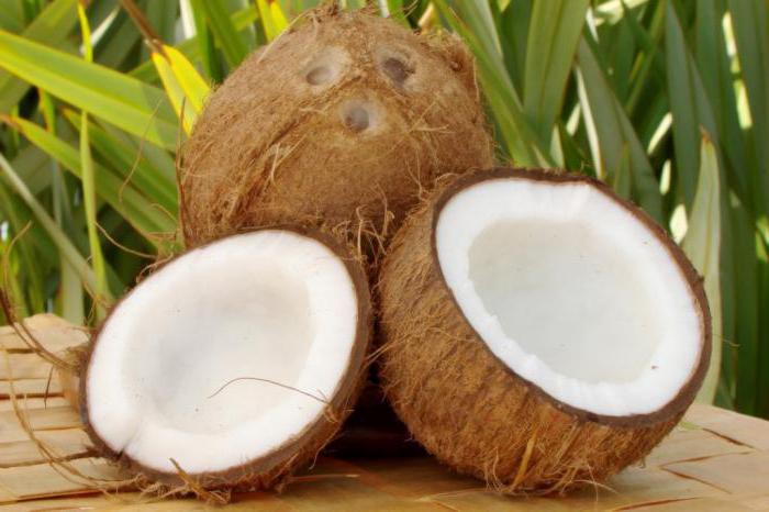 кокос это фрукт или орех или ягода