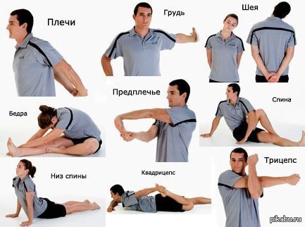 упражнения для растяжки мышц после силовой тренировки