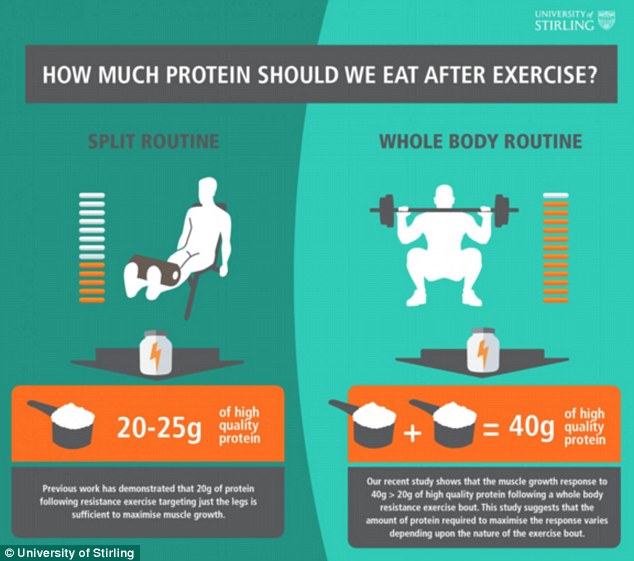 Super-sized protein shakes are a waste of money unless you are intensifying your workout