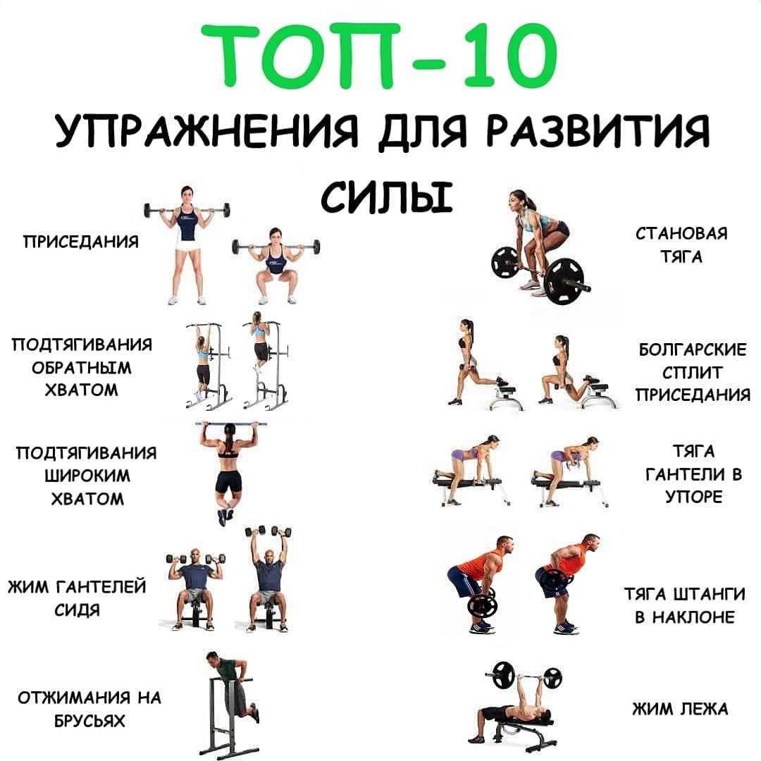 Программа упражнений в тренажерном зале для похудения