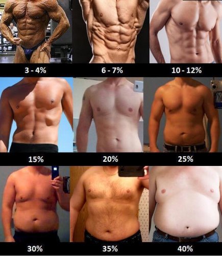 процент жира тела мужчин 