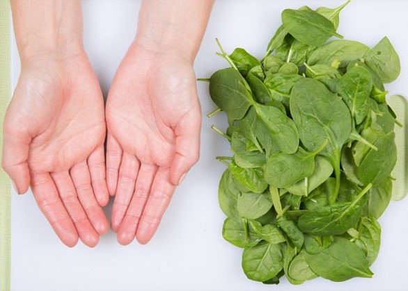 Uncooked Spinach - feature on food portions
