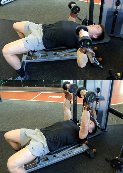 Seated Cable Chest Press with Dumbbells image