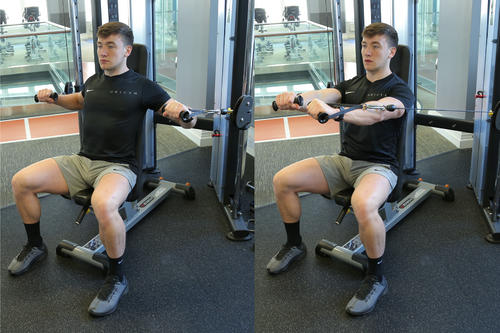 Seated Cable Chest Press image