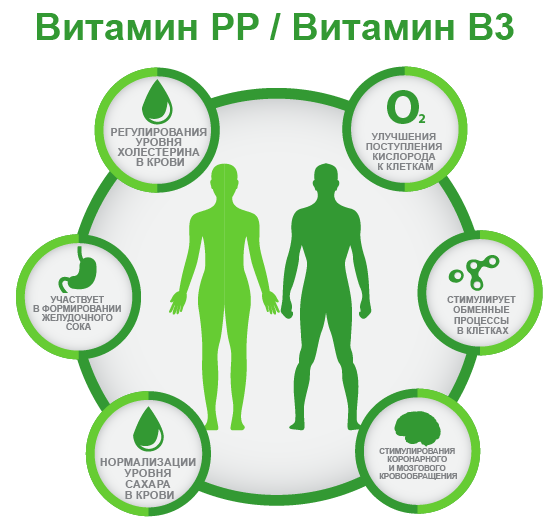 витамин PP B3 ифографика