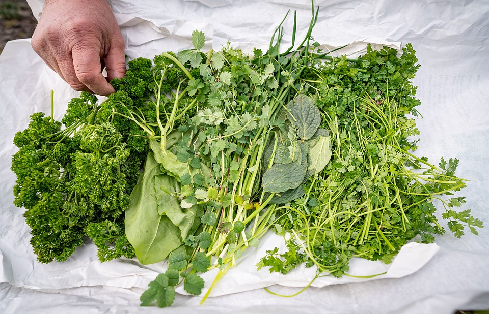 Листовая зелень у нас обычно не воспринимается как еда, скорее, как украшение к обеду или ужину. Фото: GLOBAL LOOK PRESS