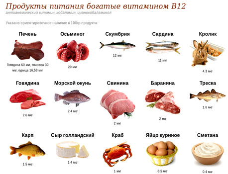 /vitamin-b12-produkty