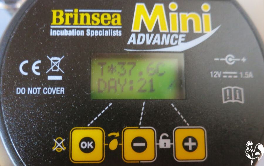 Brinsea Mini Advance incubator with a digital temperature read-out.