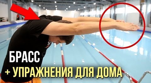 Плавание брассом пошагово для начинающих