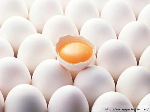Чем полезны куриные яйца сырые. Чем полезны сырые яйца.