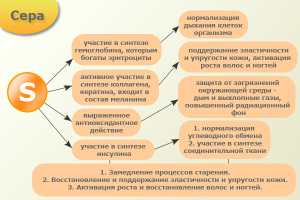 Инфографика применения msm